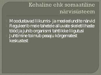Närvid ja refleksid #4