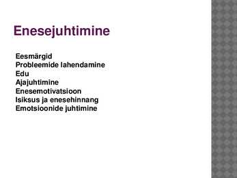 Enesejuhtimise ettekanne #3