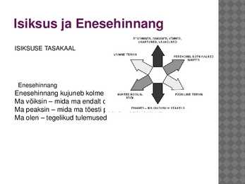 Enesejuhtimise ettekanne #9