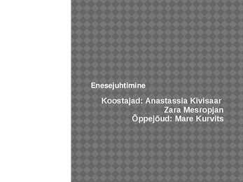 Enesejuhtimise ettekanne