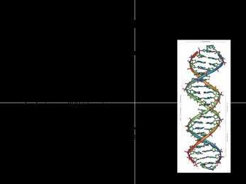 DNA - analüüsid #2