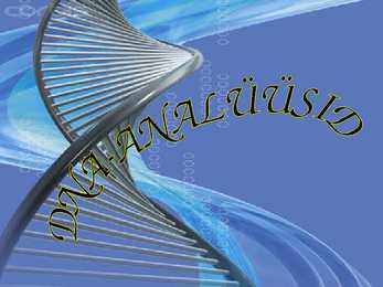 DNA - analüüsid