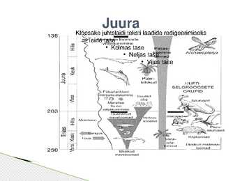 Erinevad ajastud #21