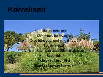 Kõrrelised #2