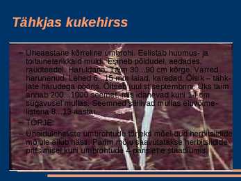 Kõrrelised #5