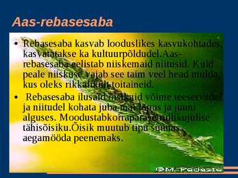 Kõrrelised #8