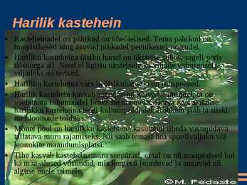 Kõrrelised #9