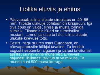 Päevapaabusilm #5