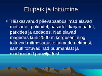 Päevapaabusilm #6