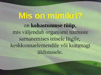 Mimikri #2