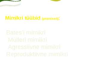 Mimikri #3