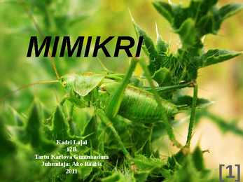Mimikri