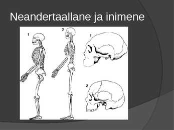 Inimlaste evolutsioon #15