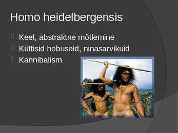 Inimlaste evolutsioon #6