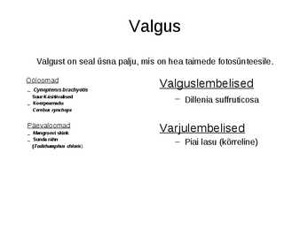 Mangroovi abiootilised tegurid #5