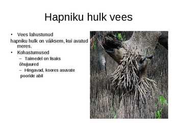 Mangroovi abiootilised tegurid #7