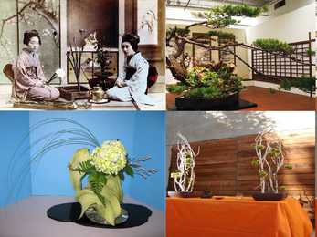 Ikebana #7
