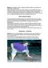 Buliimia #4