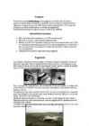 Buliimia #7