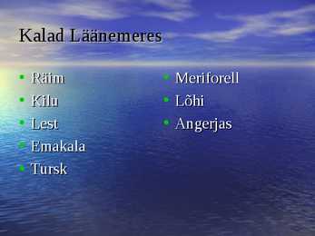 Läänemere kalad #2