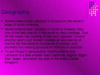 Newfoundland #2