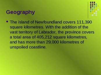 Newfoundland #3