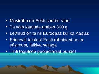 Musträhn #2