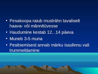Musträhn #6