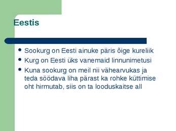 Sookurg #2
