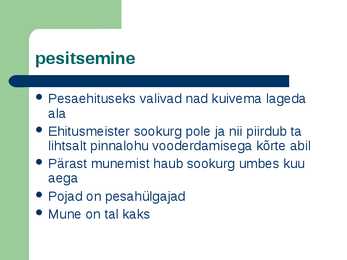 Sookurg #3