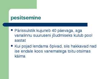 Sookurg #4