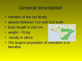 Gepard #2