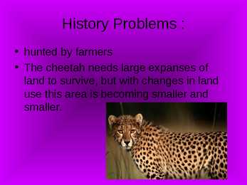Gepard #3