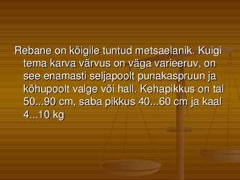 Rebane #2