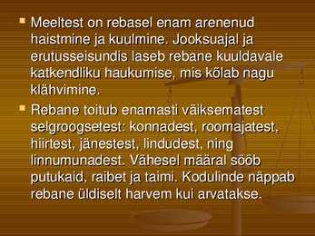 Rebane #5