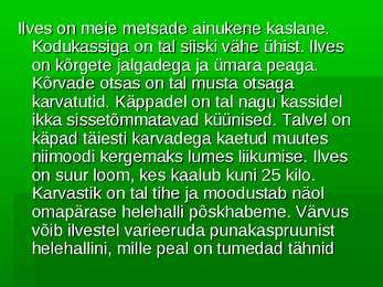 Ilves #2