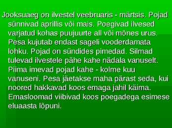 Ilves #4
