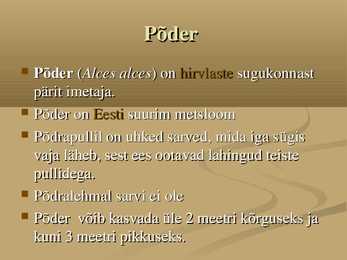 Põder #2