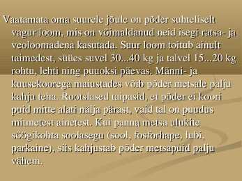 Põder #4