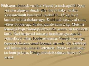 Põder #5
