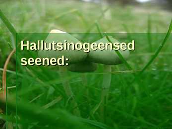 Seened