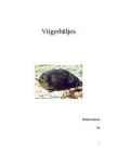 Viigerhüljes