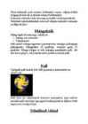 Võrkpall #4