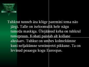 Tuhkur #3