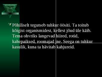 Tuhkur #5