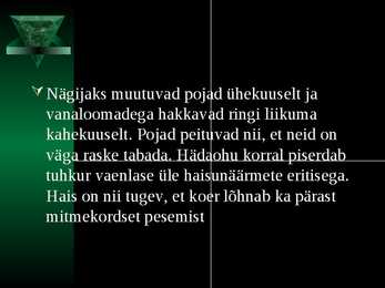 Tuhkur #7