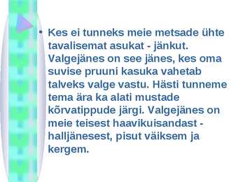 Valgejänes #2