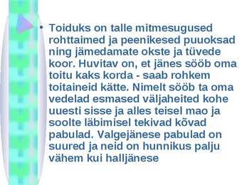 Valgejänes #4