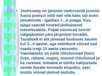 Valgejänes #5