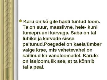 Pruunkaru #3